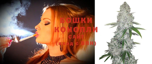эйфоретик Бородино