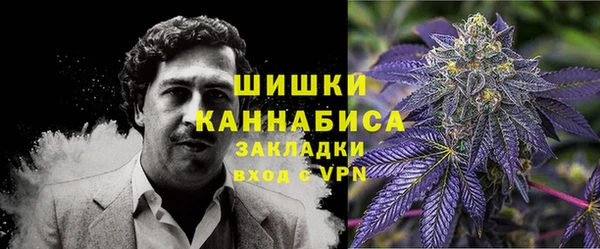 эйфоретик Бородино