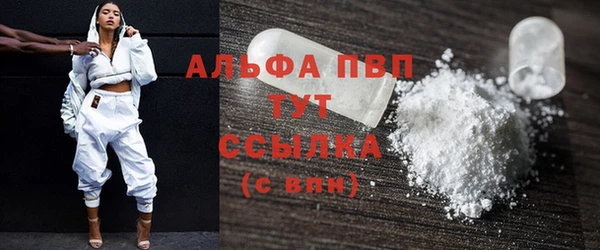 эйфоретик Бородино