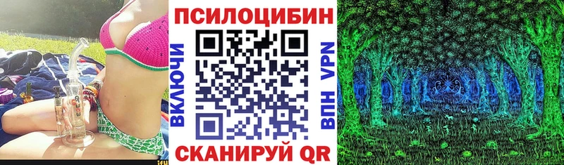 кракен   Монино  Псилоцибиновые грибы ЛСД  наркота 